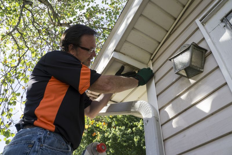 Vinyl Siding Repair Professional - Image 3